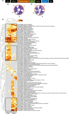 Metabolic dyshomeostasis induced by SARS-CoV-2 structural proteins reveals immunological insights into viral olfactory interactions